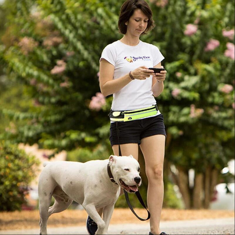 Correa manos libres para correr con tu perro – imagen 4