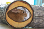 Túnel plegable para gatos – imagen 6
