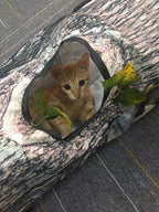 Túnel plegable para gatos – imagen 4
