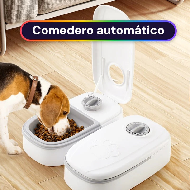 Comedero automático con temporizador para gatos y perros